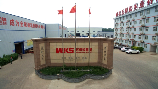 影響力人物專訪廊坊五棵松木業董事長董德州